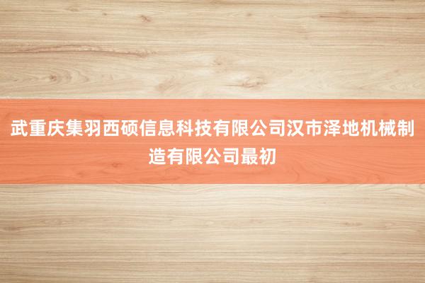 武重庆集羽西硕信息科技有限公司汉市泽地机械制造有限公司最初