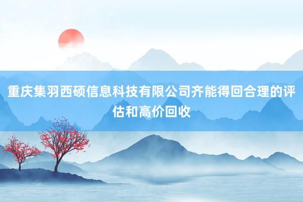 重庆集羽西硕信息科技有限公司齐能得回合理的评估和高价回收