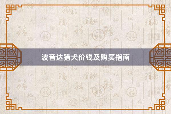 波音达猎犬价钱及购买指南