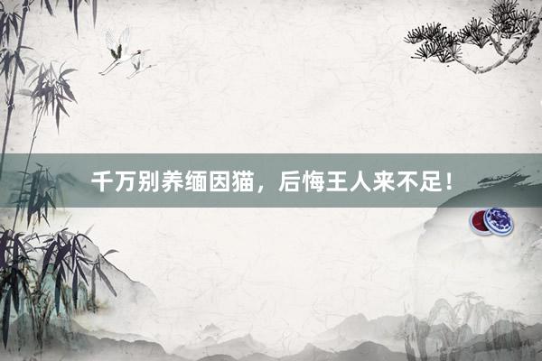 千万别养缅因猫，后悔王人来不足！